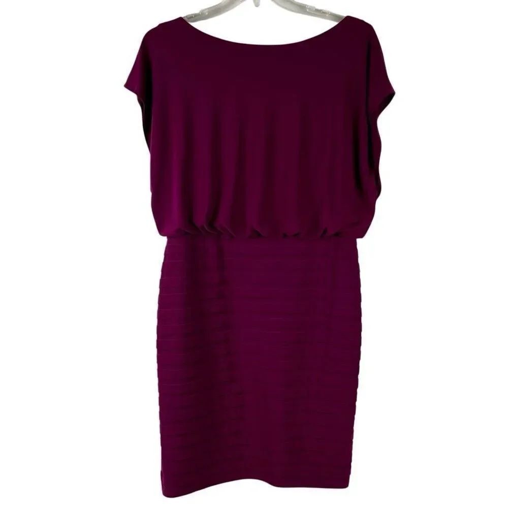 Adrianna Papell Violet Blouson Shutter Pleat Dress 14